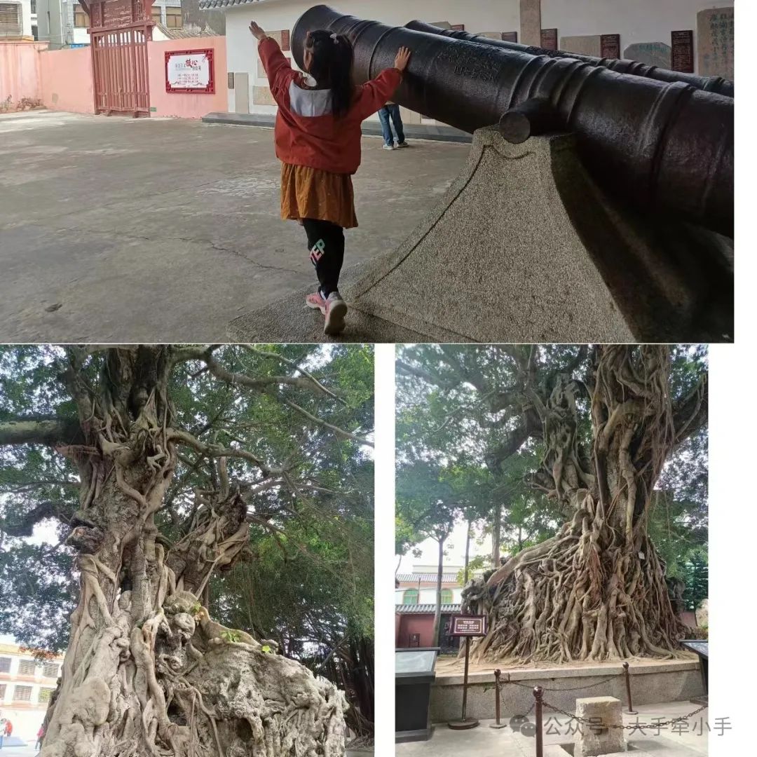 潮汕机场有吃的吗_汕头潮汕机场_汕头潮汕机场美食