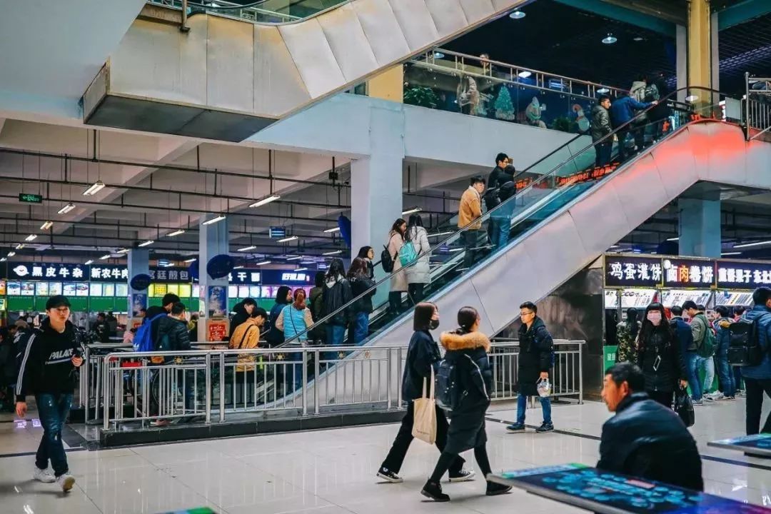 西餐厅放什么绿植_餐厅植物西绿植适合放客厅吗_西餐厅适合放什么绿植植物